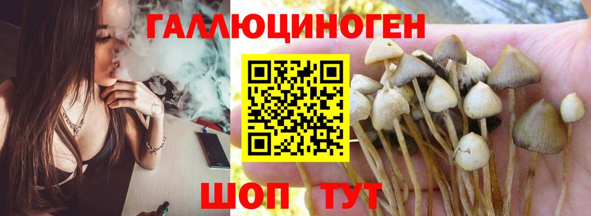 Саянск  Псилоцибиновые грибы Psilocybine cubensis  где купить наркоту  Вход с VPN 
